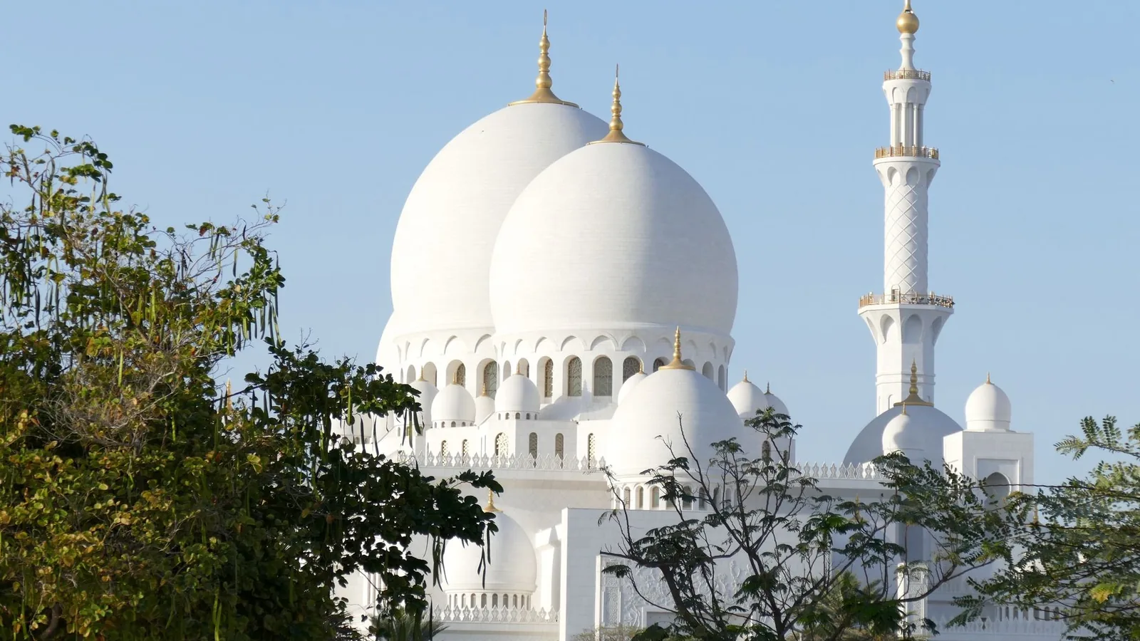 Appliance repair in Muroor Road, Al Haram Electrical Appliances Repairs Shop technician, Abu Dhabi